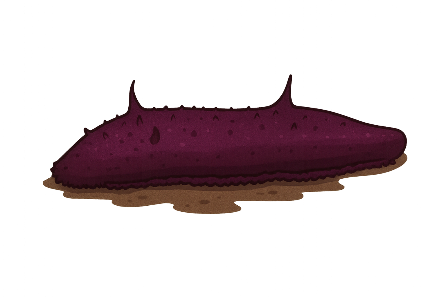 Pepino